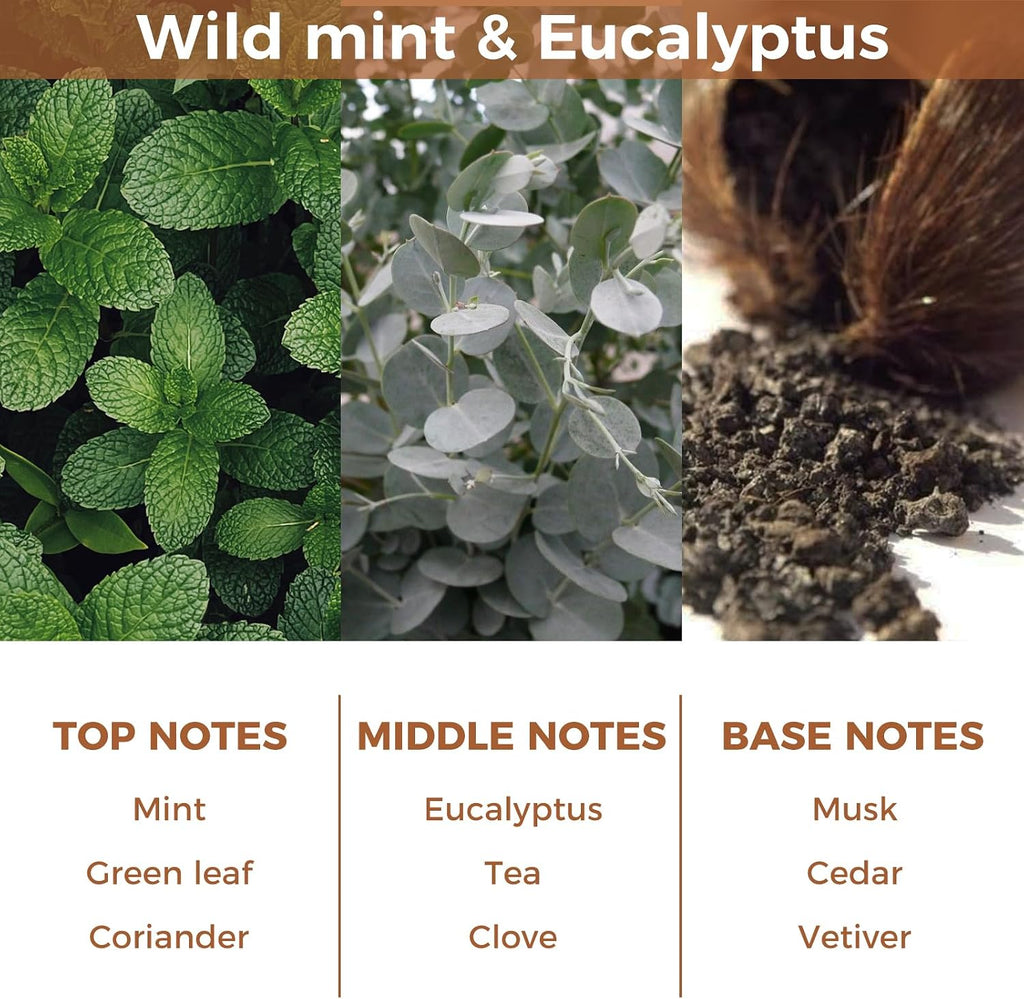 Reed Diffuser Set,Wild Mint & Eucalyptus Essential Oil Diffuser