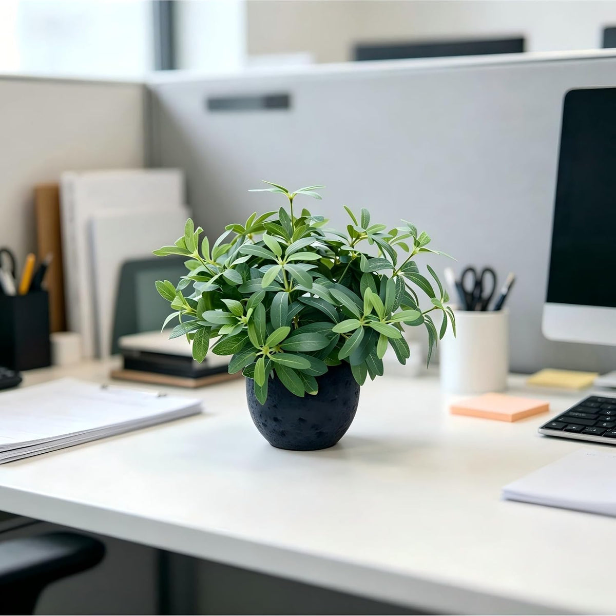 AlphaAcc 9.5" Artificial Olive Plant Black Pot Indoor Tabletop Decor