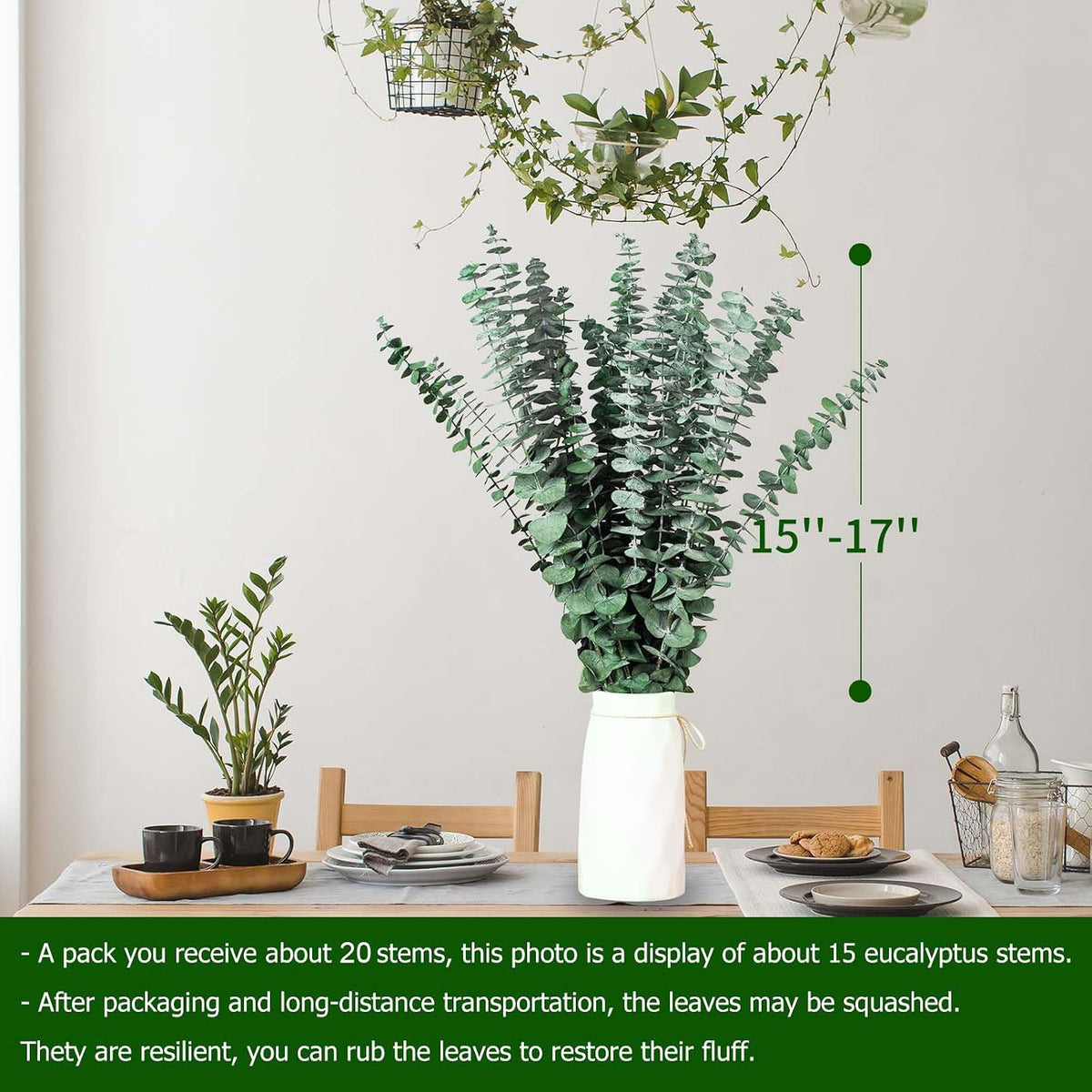 20 Pcs Dried Eucalyptus Stems, 17'' Real Hanging Eucalyptus for Shower