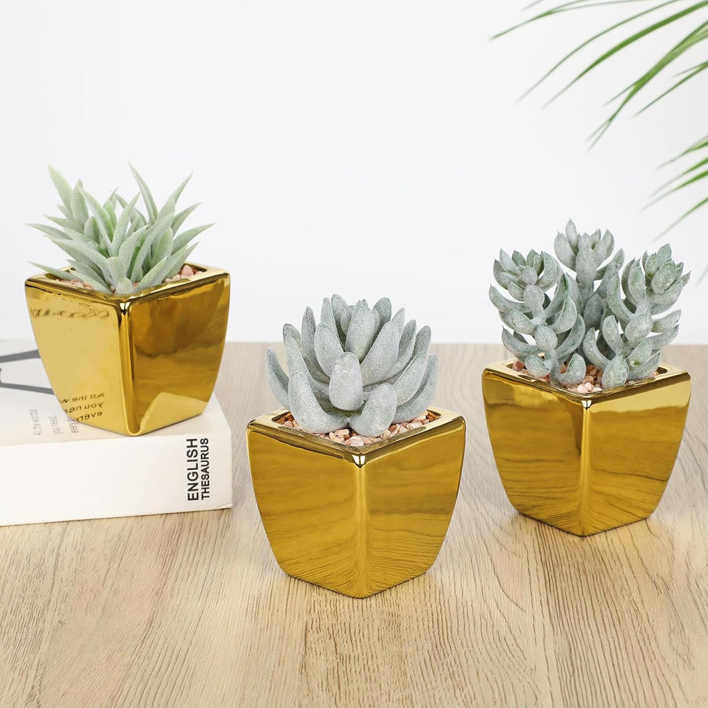 Hollyone Small Succulents Artificial 3 Pcs Faux Succulents with Gold Pots Mini Fake Succulent Plants Indoor Plant Ceramic Pots for Modern Office Desk Bathroom Shelf Living Room Home Decor Sage Green