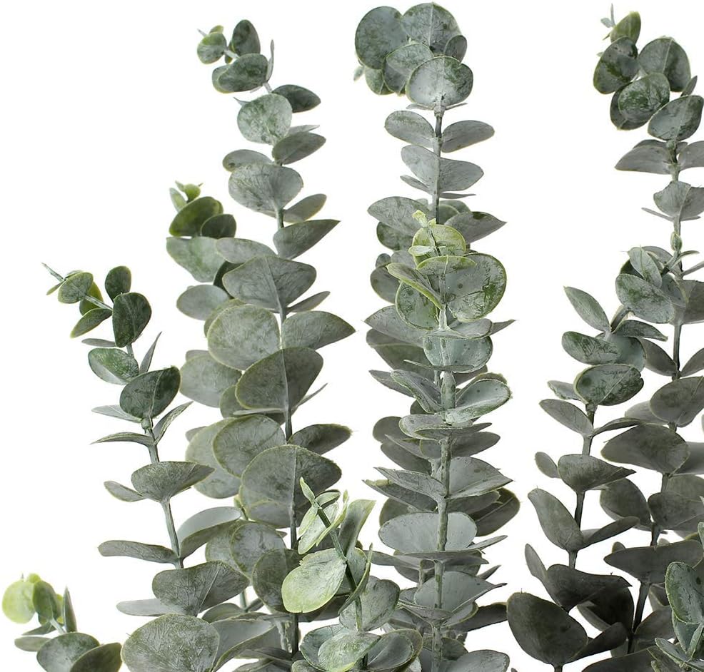 29'' Faux Eucalyptus Branches Spray Artificial Eucalyptus Leaves Long Stems Fake Flower Greenery Tall Plants Real Touch Flowers Eucalyptus for Wedding Bouquet Vase Floral Arrangement Decor 3 Pcs
