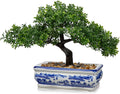 Artificial Bonsai Tree with Blue and White Porcelain Pot, Fake Pine Bonsai for Home Office Desk Decor, Oriental Zen Tabletop Decoration, Faux Bonsai Plant for Living Room, Shelf & Gift