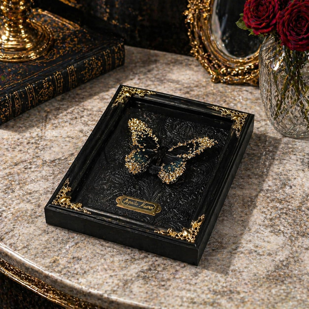 Real Handmade Taxidermy Butterfly Framed Handcrafted Art Processing