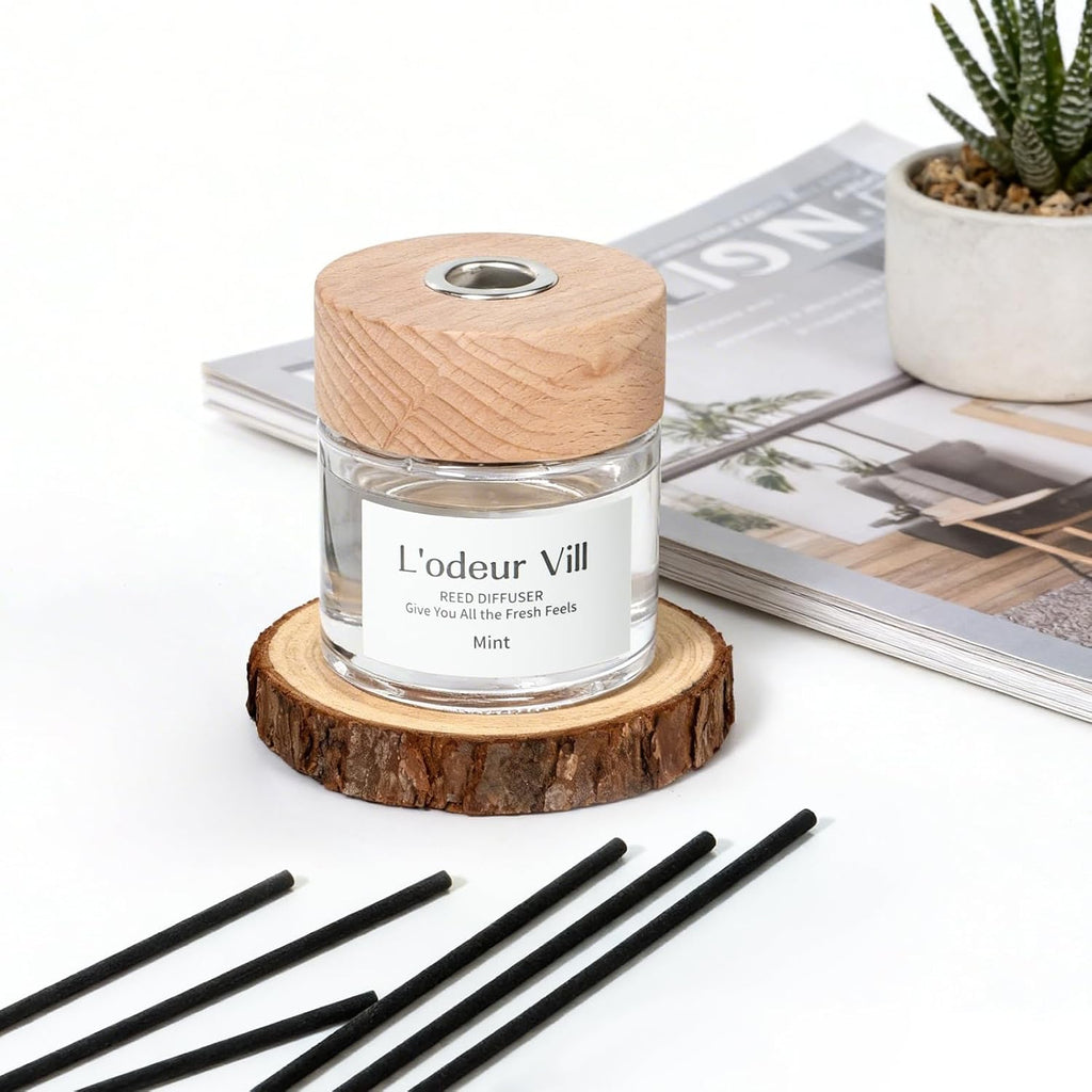 L'odeur Vill Reed Diffuser Set,Mint and Fruit 3.4 fl oz(100 ml) Oil Diffuser with 6 Reed Sticks, Home Fragrance Reed Diffuser for Bathroom Shelf Decor Scent Diffuser