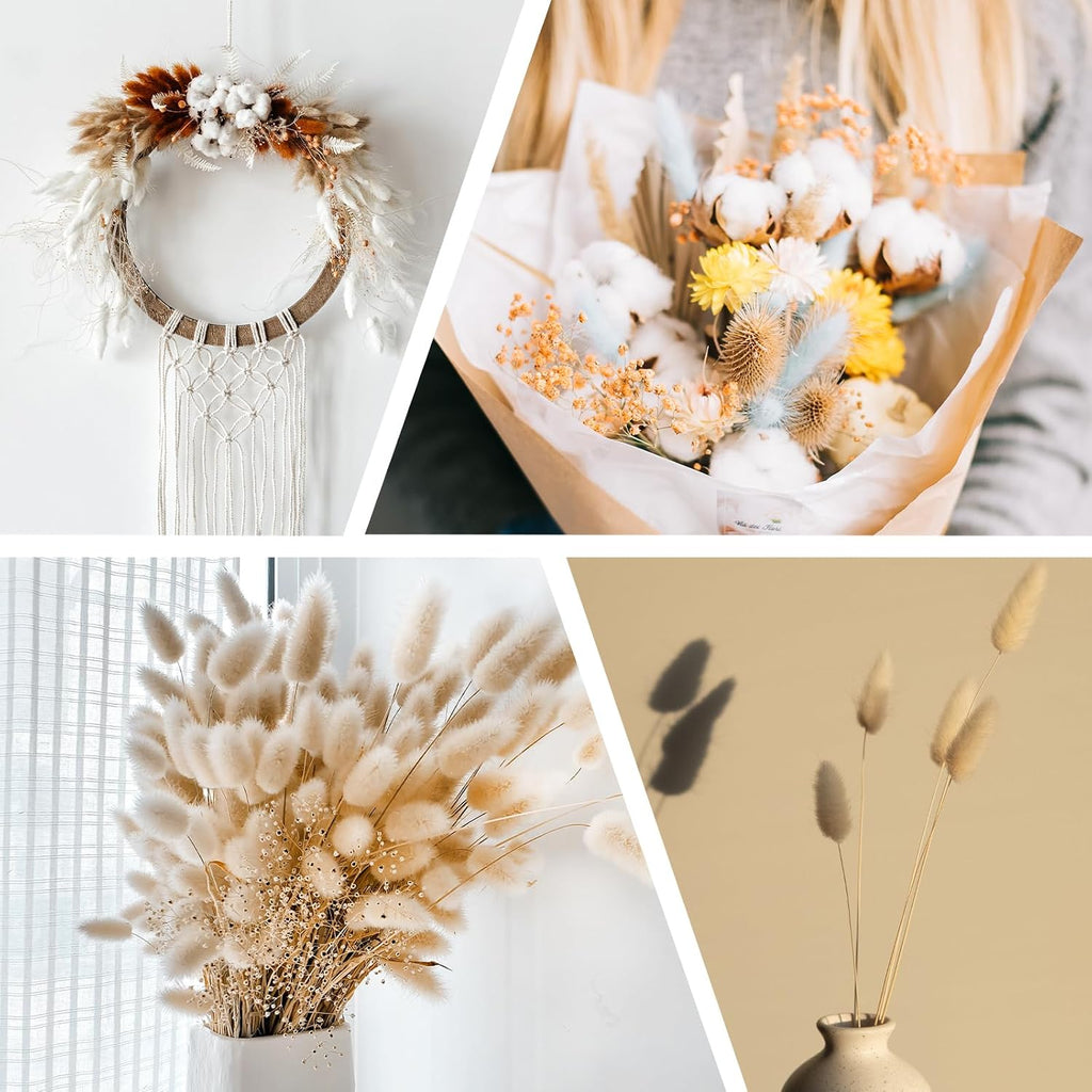 PATIKIL 15.7in Bunny Tails Dried Flowers, 120pcs Pampas Grass Decor Rabbit Tail Natural Pampas Grass Bulk Fluffy Faux Pampas Grass Dried for Home Boho Decor Vase Wedding Table, Beige