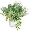 Artificial Potted Plant with White Pot 13" Fake Greenery Indoor Decor