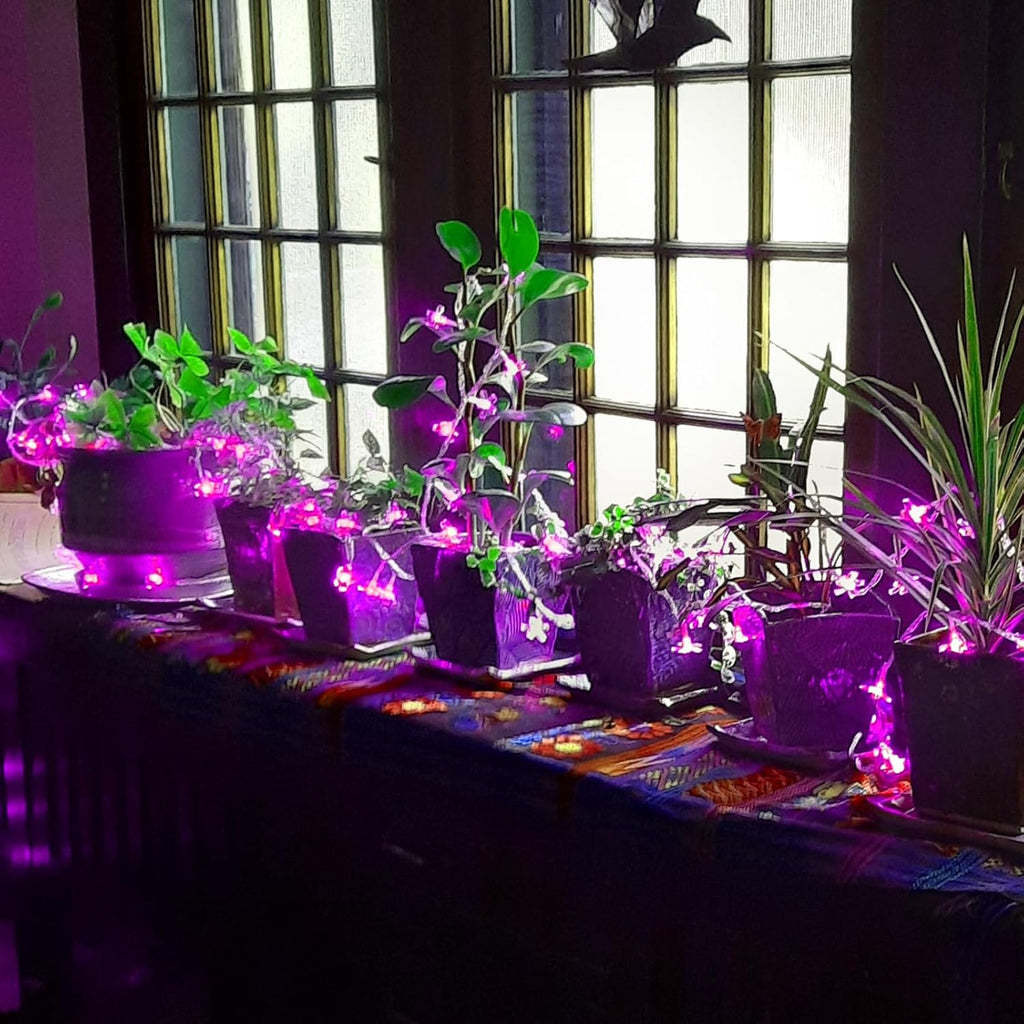USB & Battery Powered Pink Cherry Blossom Flower String Lights Party Decor