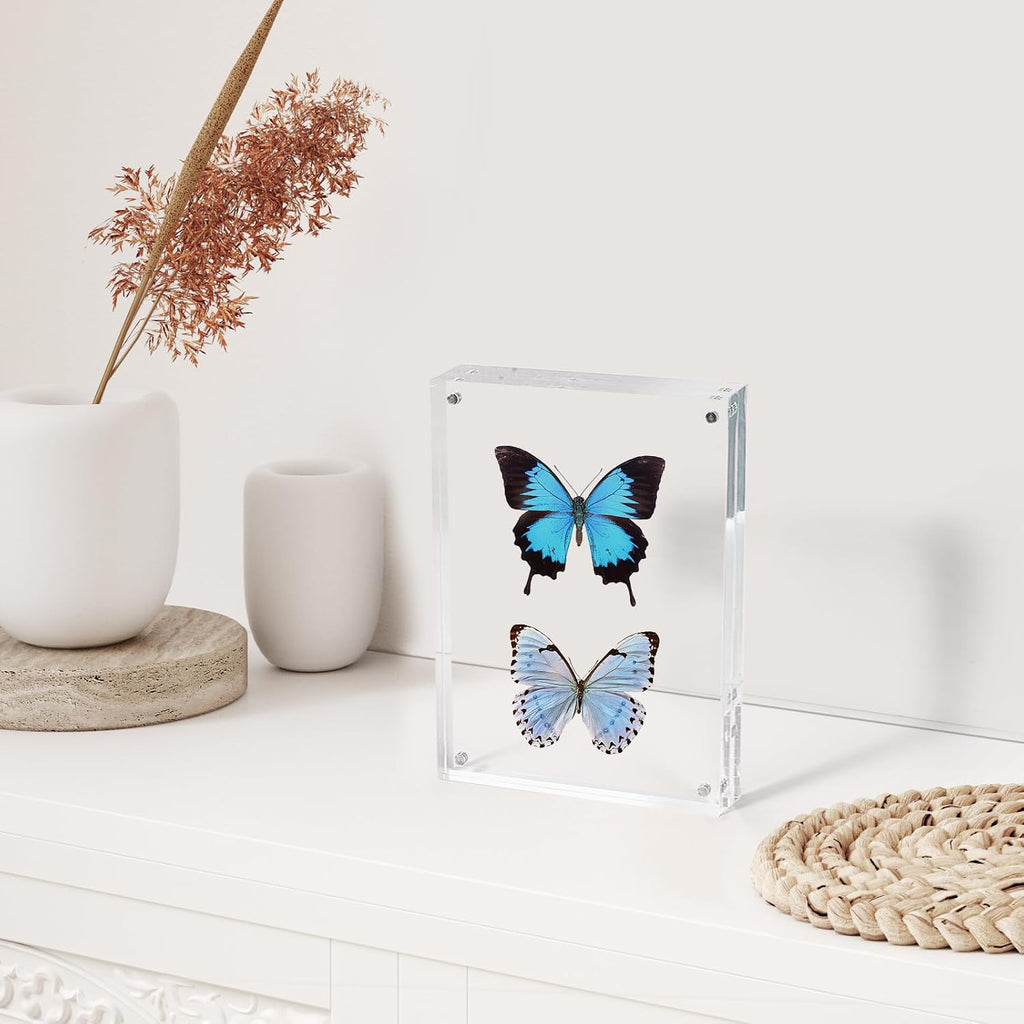 SYNTRIFIC Acrylic Frame 5x7, 5 x 7 Acrylic Picture Frame 6 PACK Clear Double Sided Magnetic Picture Frame, Free Standing Desktop Acrylic Photo Frame Display,Lucite Frame,10+10mm Thickness Magnetic