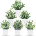 Der Rose 6 Pack Fake Plants Small Artificial Plants for Home Classroom