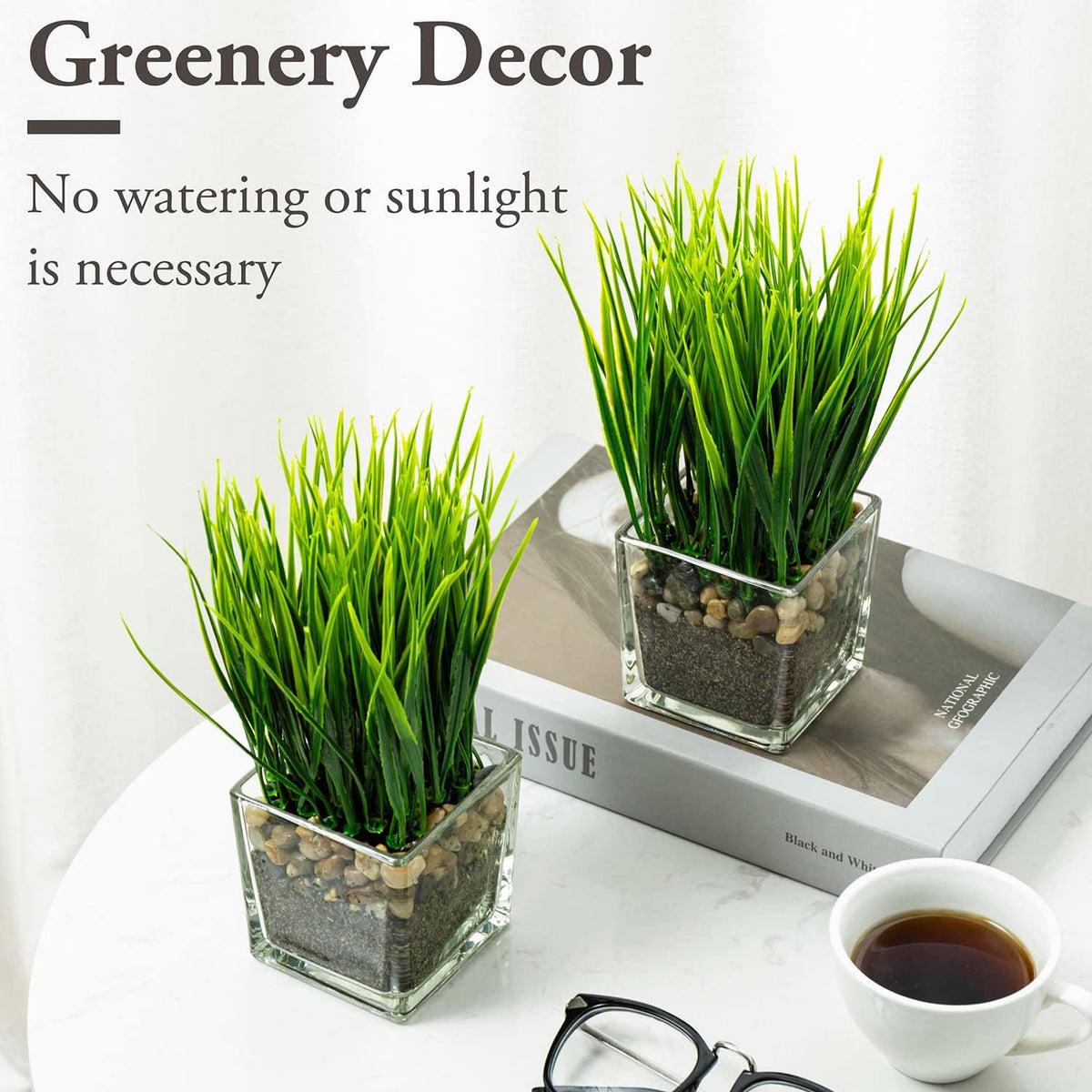MyGift Set of 2 Artificial Grass Plants in Square Glass Pots with Pebbles