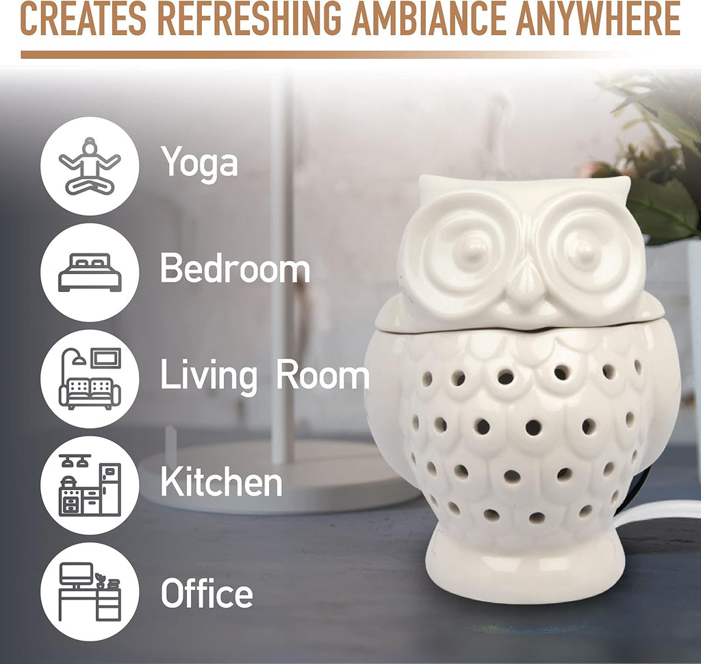 D'Eco Owl Electric Wax Melt & Candle Warmer with 4 Fragrance Cinnamon Cubes