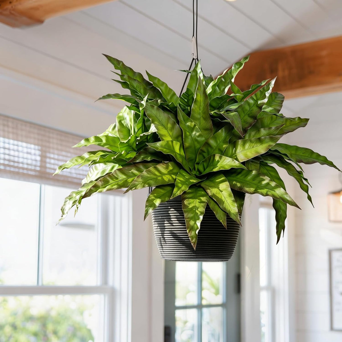 4 Pcs Artificial Greenery Stems Fake Bird Nest Fern Faux Branches Artificial Plants Realistic Fake Dracaena Realistic Plants for Indoor Outdoor Porch Patio Home Office Living Room Decor (Brown Green)