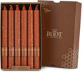 Root Candles 12-Count Unscented Timberline Arista Candles, 9-Inch, Rust