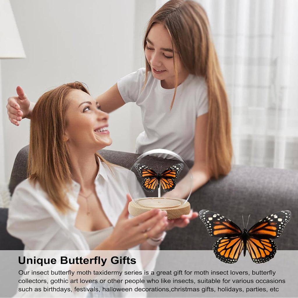 Monarch Butterfly Framed Decoration - Handmade Glass Shadow Box Insect Frame for Butterfly Collectors - Tabletop, Wall Art,Live Room,Gothic Home Decor(Glass Ball)