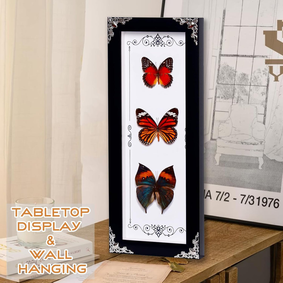 Framed 3 Real Butterfly Gothic Decor, 15.2"X6.5" Taxidermy Butterfly Shadow Box Wall Decor, Framed Butterfly Taxidermy for Witchy Home Decor