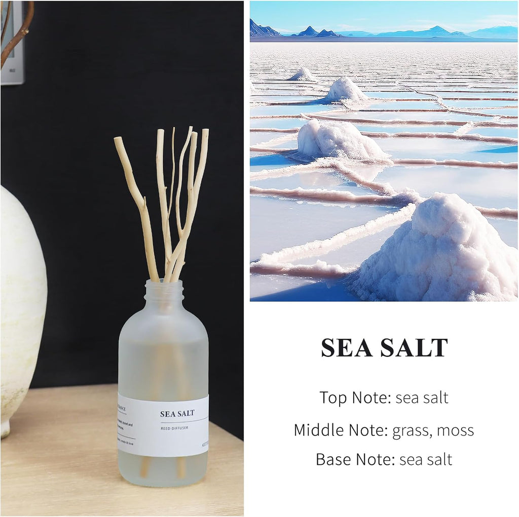 Sea Salt Reed Diffuser, 7.4oz(220ml) Sea Salt Musk and Grass Essential Oils, Bathroom Air Freshener with Willow Branches Decor, Long Lasting Fragrance for Home (1-Pack)