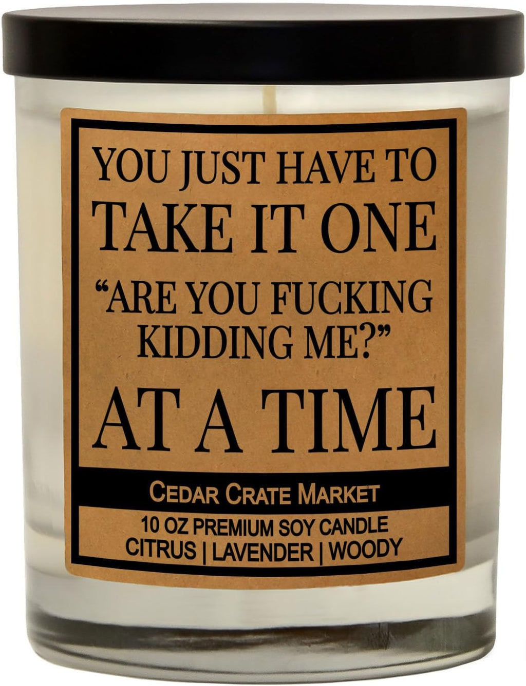 You Just Have to Take It, Funny Candles Gift for Women Friends Mom, BFF, Girlfriend, Boyfriend, Inappropriate Candles with Funny Sayings, Lavender Scented, Made in USA