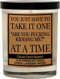 You Just Have to Take It, Funny Candles Gift for Women Friends Mom, BFF, Girlfriend, Boyfriend, Inappropriate Candles with Funny Sayings, Lavender Scented, Made in USA