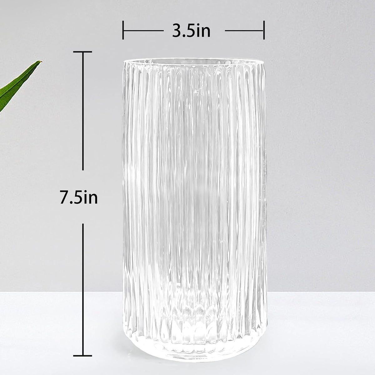 Muyan 7.5" Flower Vase for Decor Ribbed Glass Vase Modern for Centerpieces Desktop Home Office Dining Living Room Wedding (Clear)