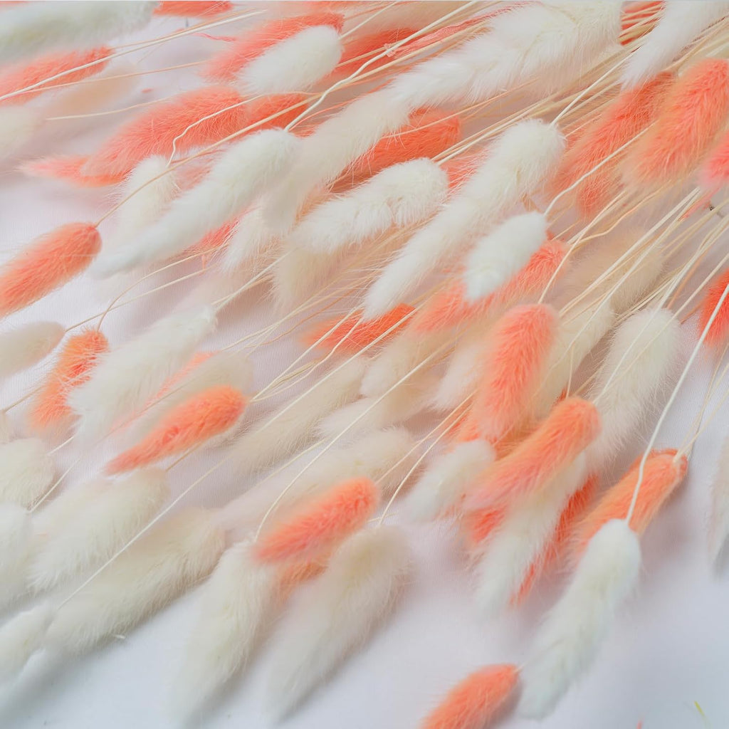 100 Pcs White and Pink Bunny Tails Dried Flowers