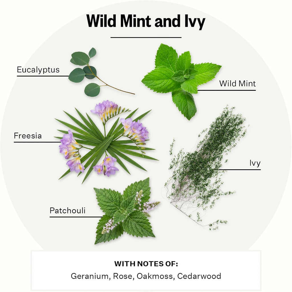 Apotheke Reed Diffuser Liquid Refill, Essential Oil - Wild Mint & Ivy