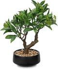 Artificial Bonsai Tree, Small Bay Laurel Bonsai Tree 13" Indoor Bonsai Tree