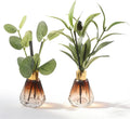 2Pcs Empty Reed Diffuser Brown Glass Bottle Set with Artificial Plant Decor