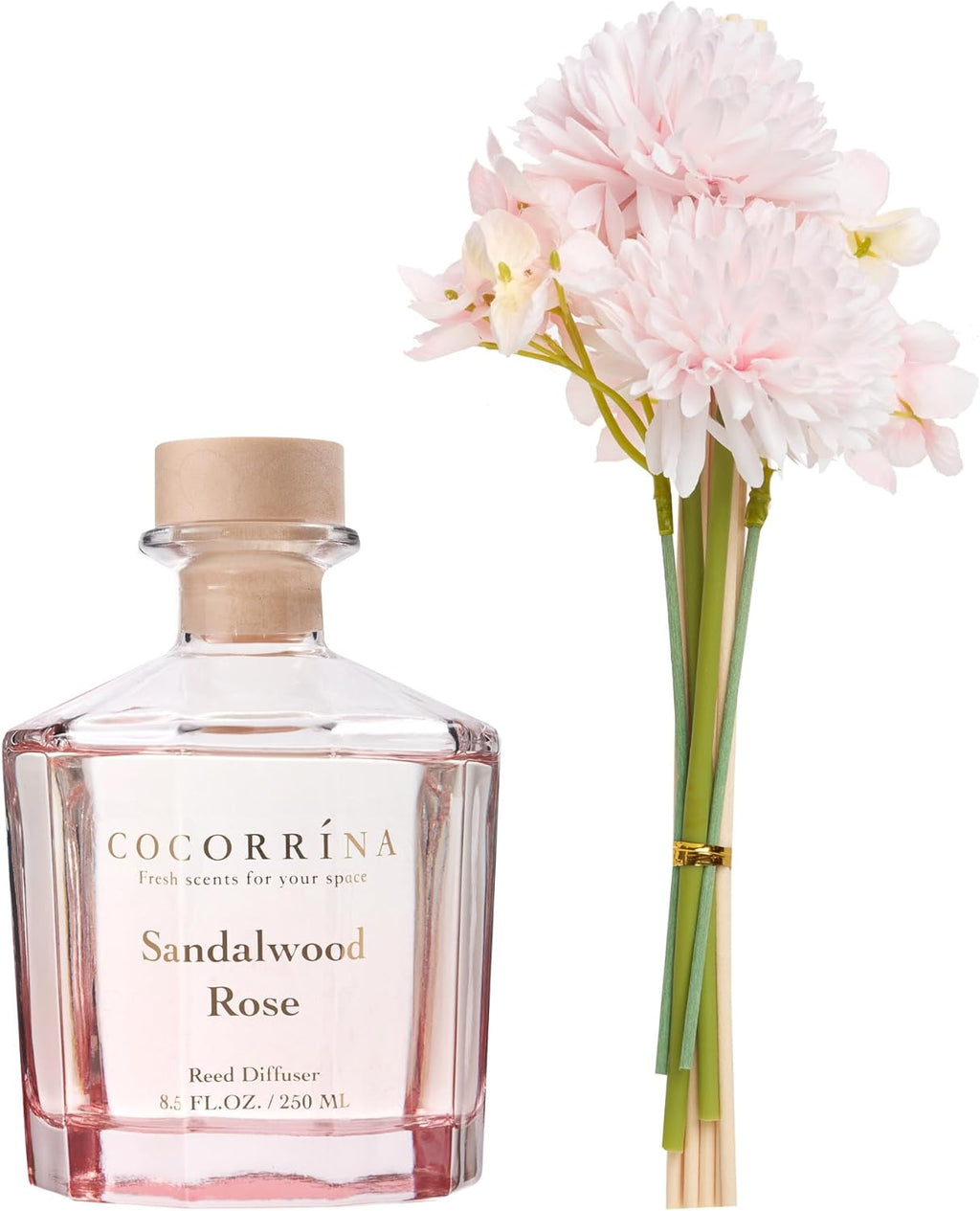 COCORRÍNA Reed Diffuser - Sandalwood Rose 8.5 Fl.oz Flower Reed Diffuser Set with 8 Sticks, Home Fragrance Reed Diffuser for Home Bedroom Office Bathroom Shelf Decor (Master Collection)