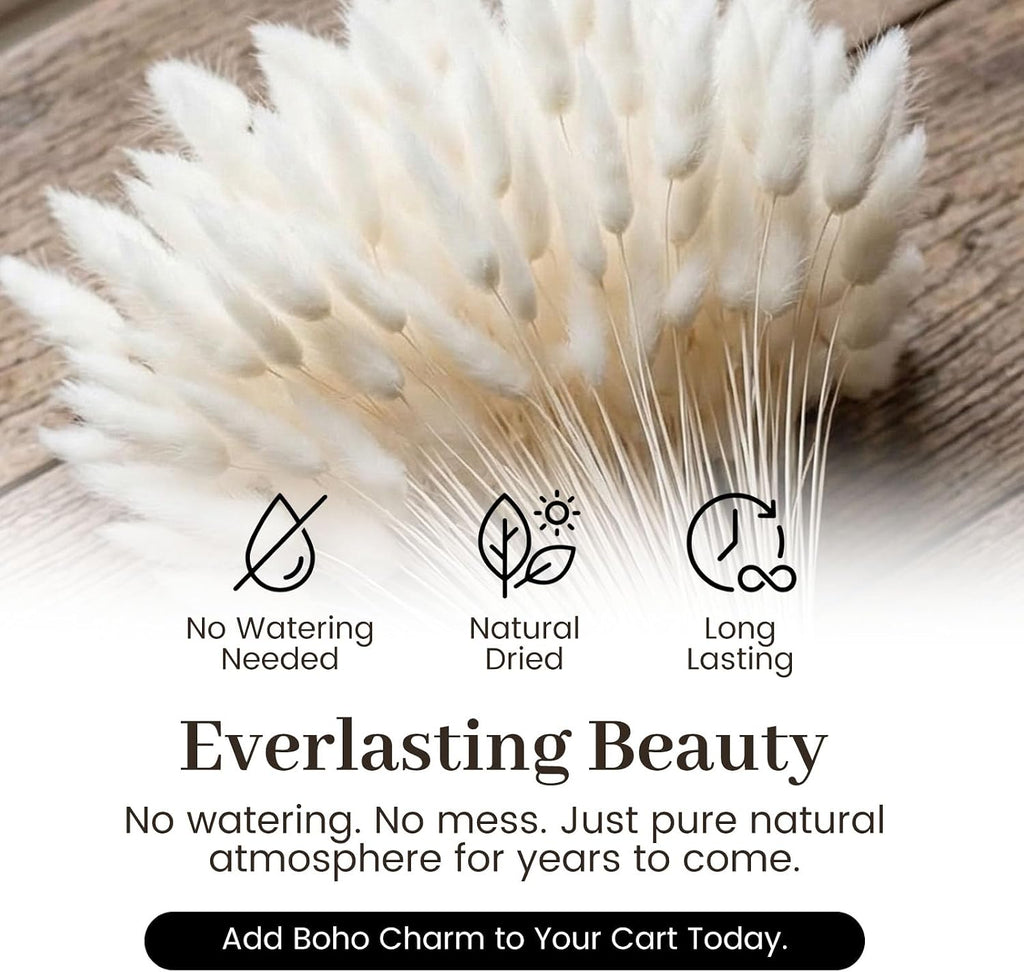 JOHOUSE 120PCS Dried Pampas Grass Decor, 17 Inch White Bunny Tails