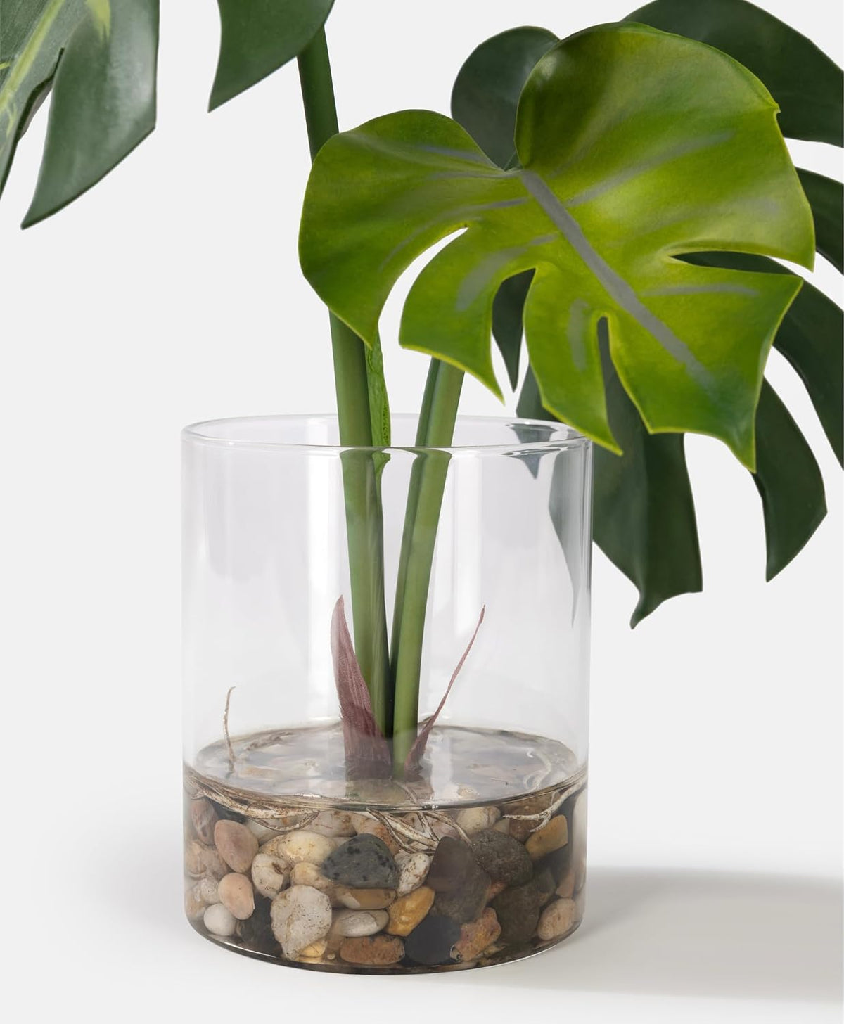 SUNPRAIRIE Realistic Artificial Plant in Clear Pot with Artificial Water, Broad Monstera Leaves. Faux Plants Indoor and Outdoor.