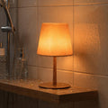 EZVALO RGB Shower Lamp, Waterproof Rechargeable Shower Light with Remote