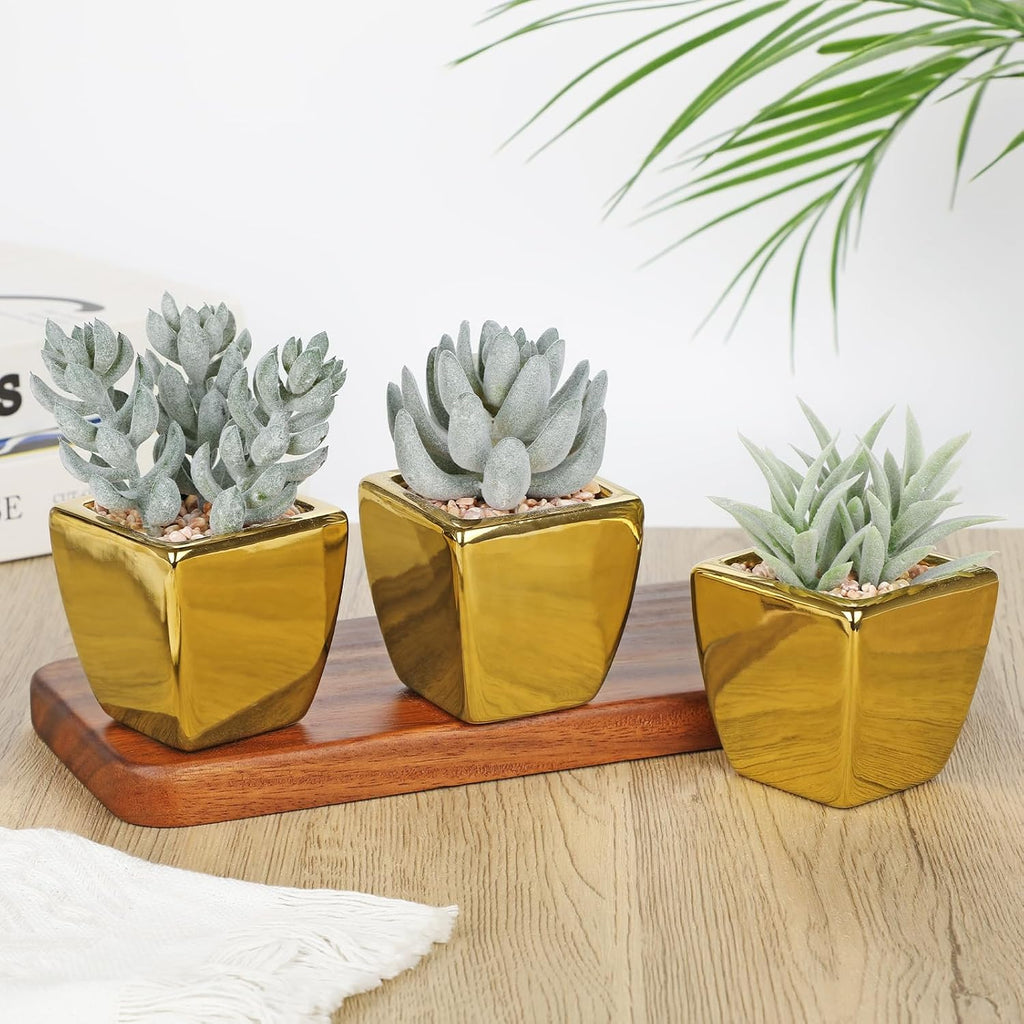 Hollyone Small Succulents Artificial 3 Pcs Faux Succulents with Gold Pots Mini Fake Succulent Plants Indoor Plant Ceramic Pots for Modern Office Desk Bathroom Shelf Living Room Home Decor Sage Green