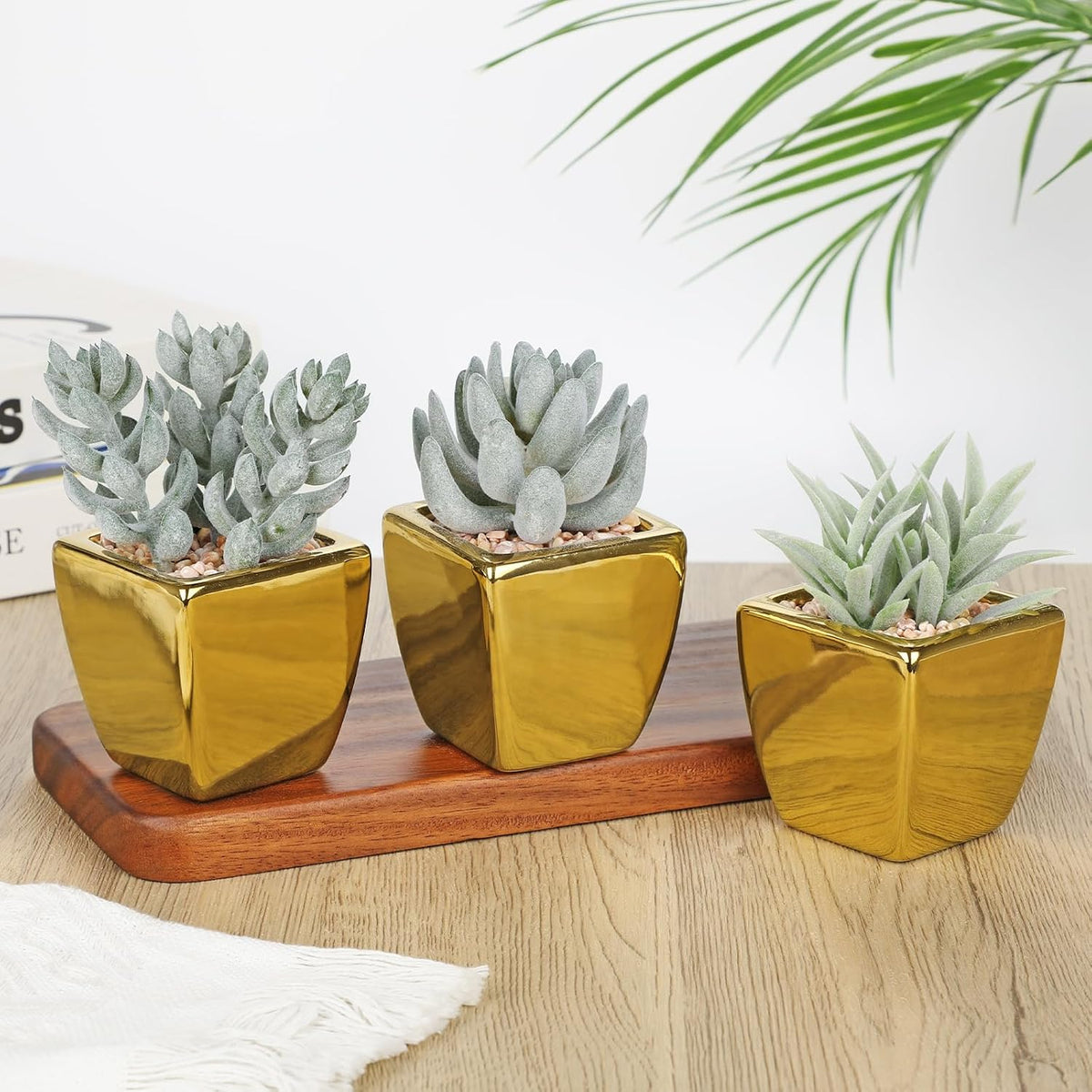 Hollyone Small Succulents Artificial 3 Pcs Faux Succulents with Gold Pots Mini Fake Succulent Plants Indoor Plant Ceramic Pots for Modern Office Desk Bathroom Shelf Living Room Home Decor Sage Green