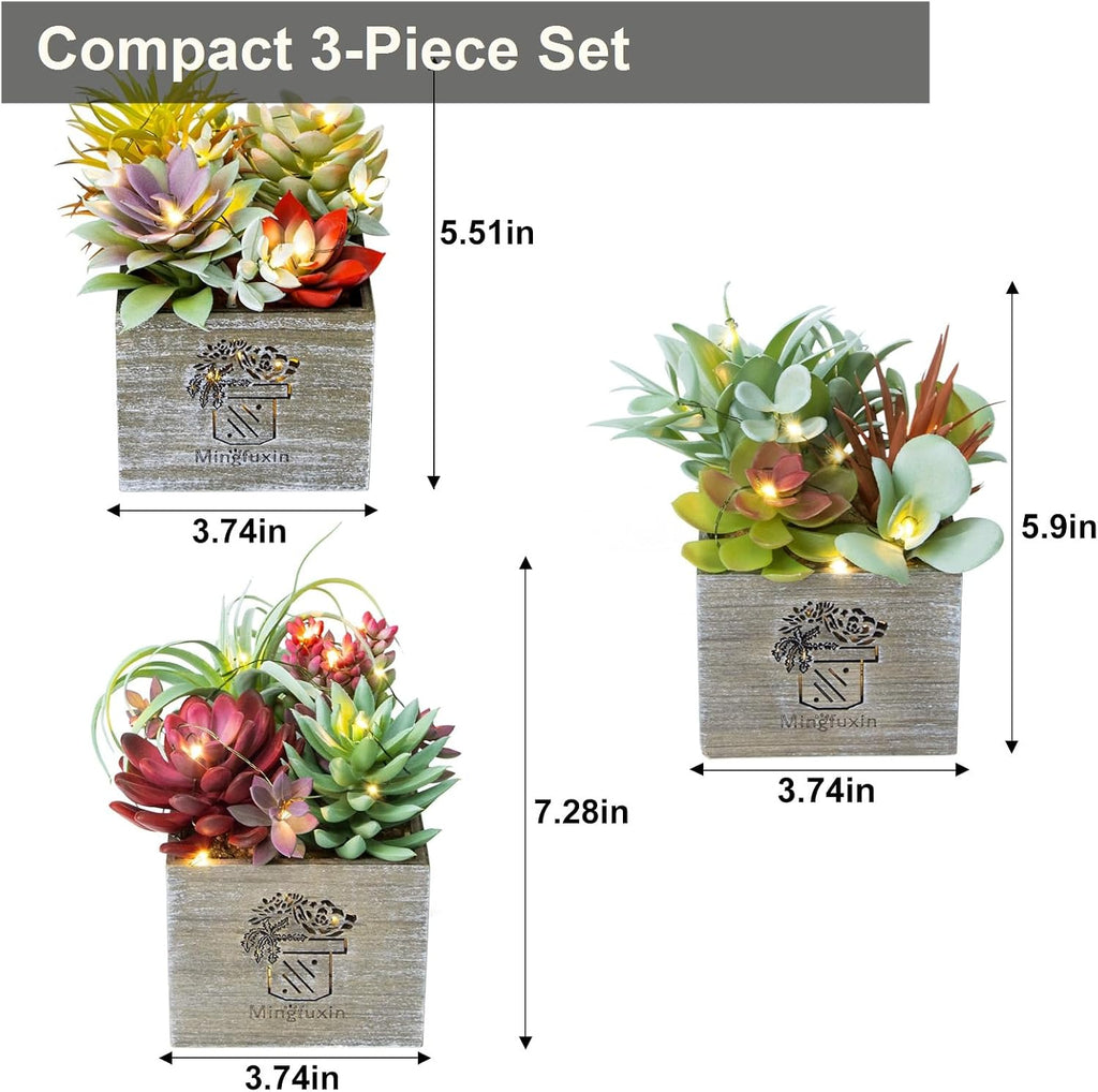 Succulents Plants Artificial with Light for Home Office Decor 3 Pack