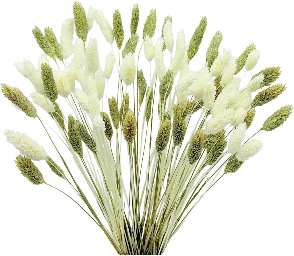 100Pcs Fall Dried Flowers Stems Natural Dried Pampas Grass Bouquets White and Green Gem Grass Artificial Dried Plants Boho Floral for Autumn Vase Filler Floral Arrangements Home Table Wedding