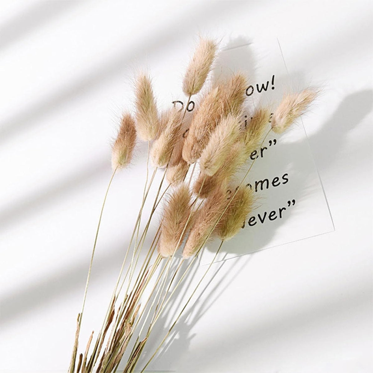 Brown Bunny Tails 120Pcs 17Inch Dried Grass for Boho Wedding Vase