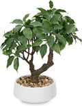 Artificial Bonsai Tree, Small Ficus Bonsai Tree 13" Indoor Bonsai Tree