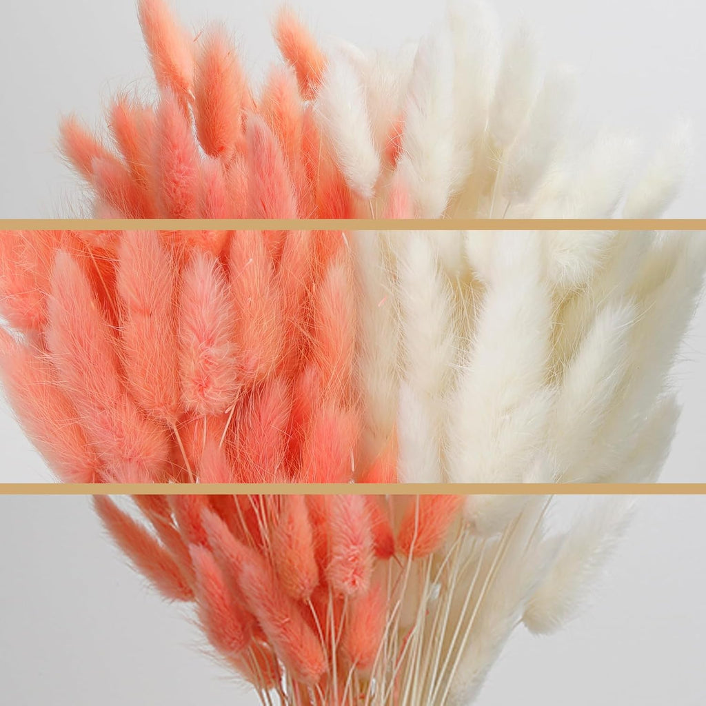100 Pcs White and Pink Bunny Tails Dried Flowers