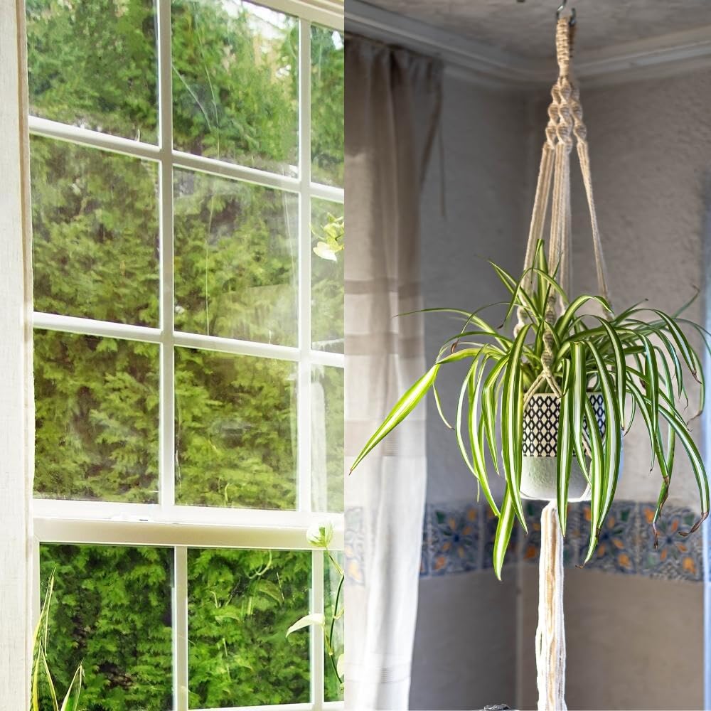 3 Pack Macrame Plant Hanger Indoor Hanging Planter for Plants Holder, Hanging Pot Holder Macrame Decorative Flower Pot Holder with 3 Hooks for Indoor Outdoor Boho Home Décor, Ivory (POTS NOT INCLUDED)