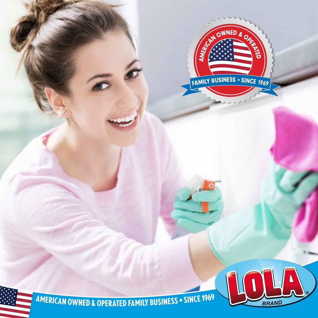 LOLA Microfiber & Nylon Net Sponges, 24 Pack, 12 Dual Sided Non-Scratch Sponge Pads & 12 w/Microfiber Cloth One Side and Netting on the Other Side