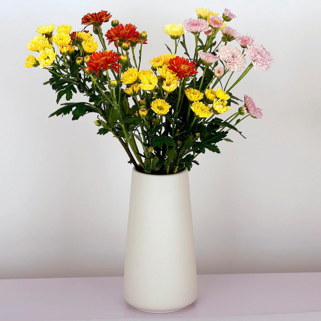 Ceramic White Vase, Simple Vases for Lavender Pampas Grass Dried Flowers Plants, Frosted Elegant Vase for Modern Table Shelf Wedding Home Decor (Medium)