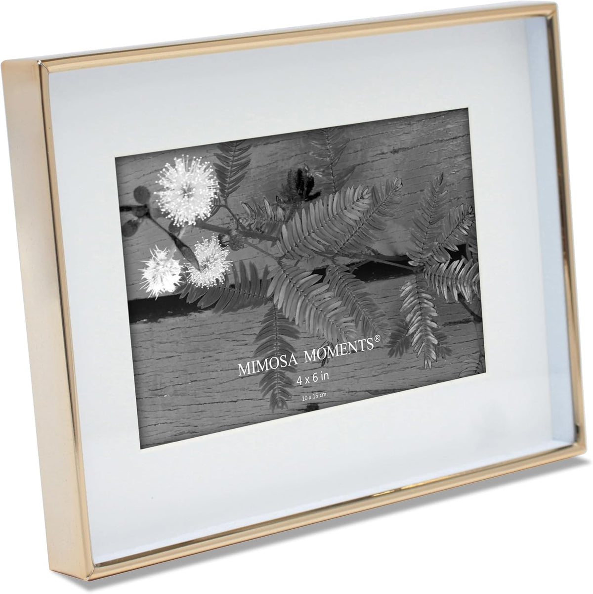 6x8 Brass Shadow Box Metal Picture Frame with 4x6 Photo Mat