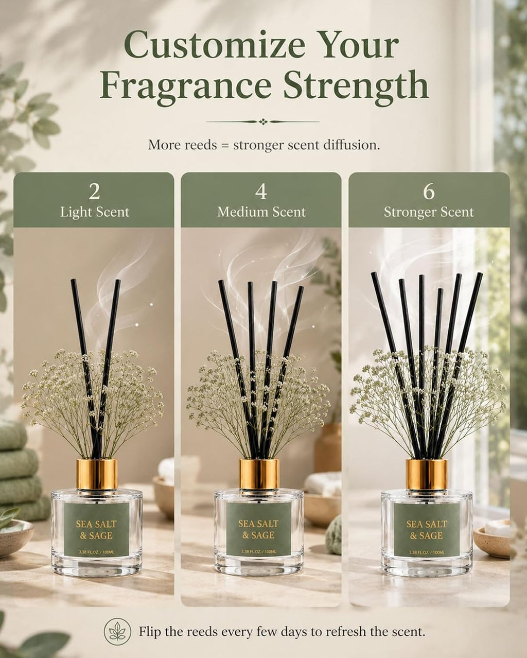 Reed Diffuser Set, Sea Salt Sage, 3.38 fl oz with 6 Sticks