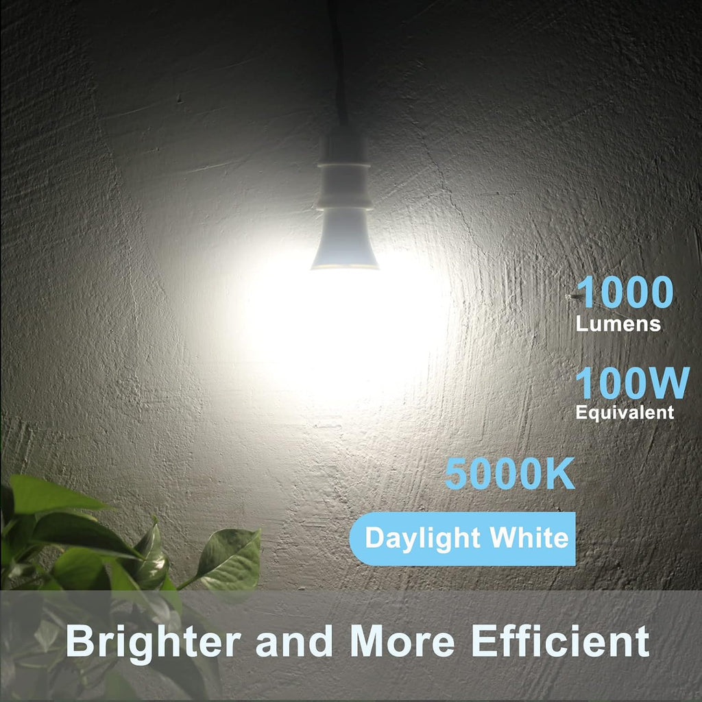 Qualilux Dusk to Dawn Light Bulbs, Auto On/Off Light Sensing LED Bulbs Outdoor, Daylight, A19 2-Pack, 12W 1000LM 75W Equivalent, HQ-H023
