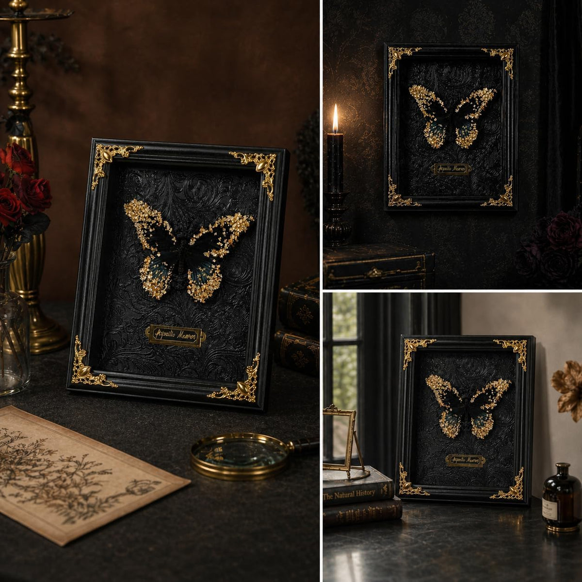 Real Handmade Taxidermy Butterfly Framed Handcrafted Art Processing