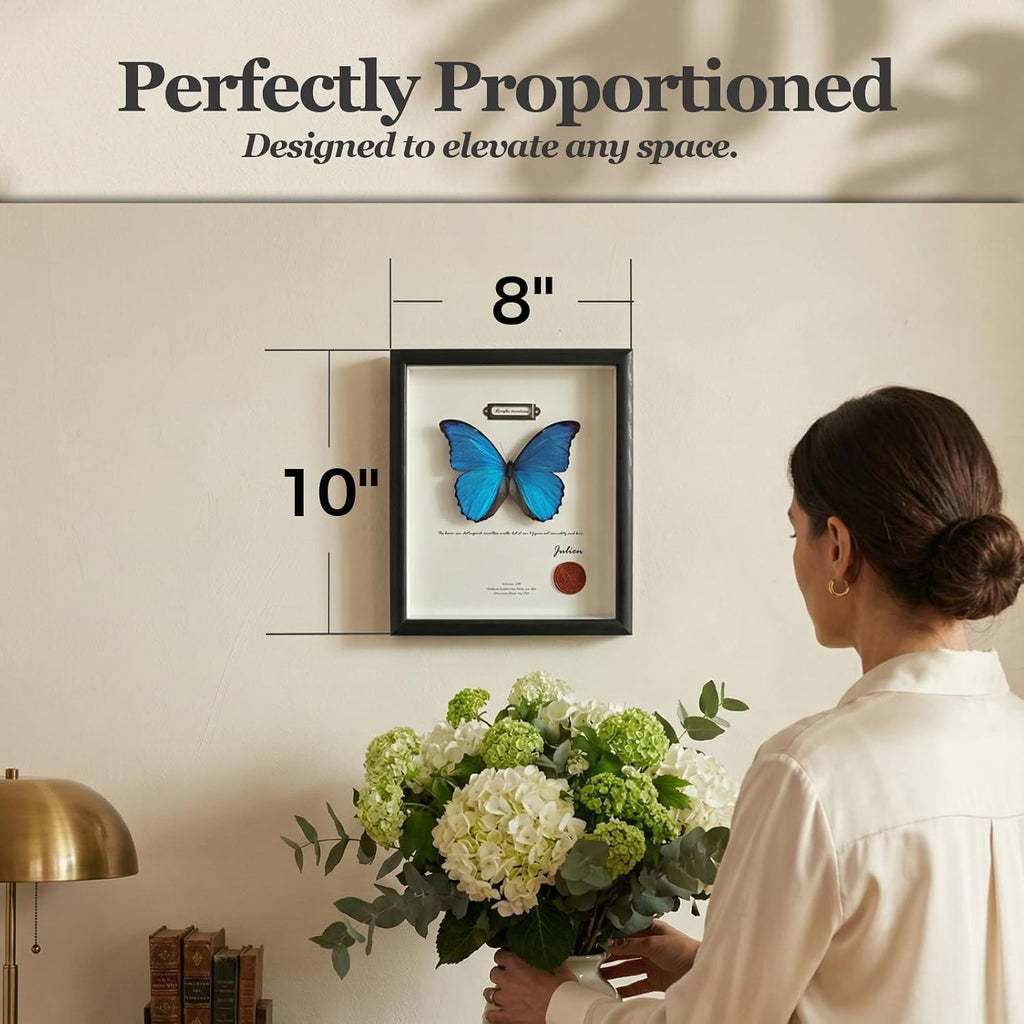 ArsVenciik Real Blue Morpho Butterfly Taxidermy