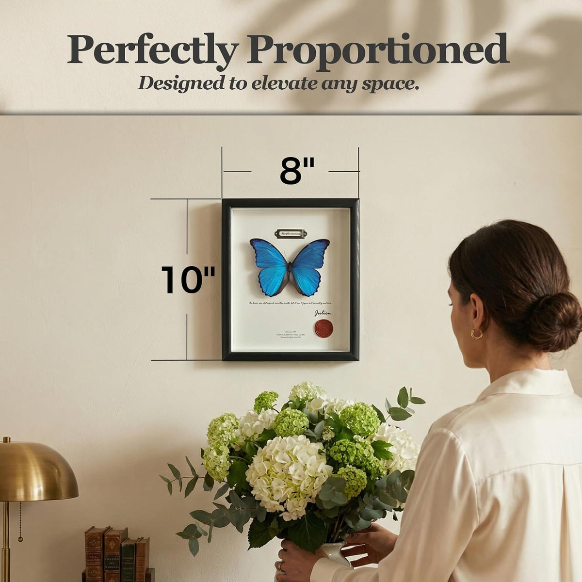 ArsVenciik Real Blue Morpho Butterfly Taxidermy