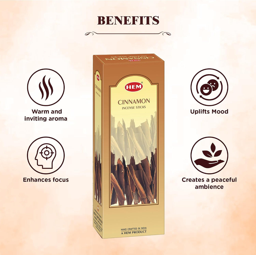Hem Cinnamon Incense Sticks (120 Sticks, 6 Boxes Inside) - 9 Inches Long, 20g per Box - Perfect for Meditation, Rituals,Cleansing & Yoga.