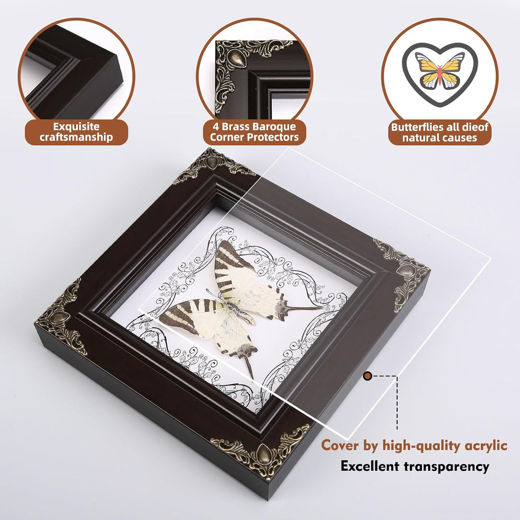 Real Framed Butterfly Specimen, Handmade Butterfly Taxidermy Shadow Box, Goth Gifts for Women, Dark Academia & Witchy Decor, (Tiger Green Swallowtail Butterfly)