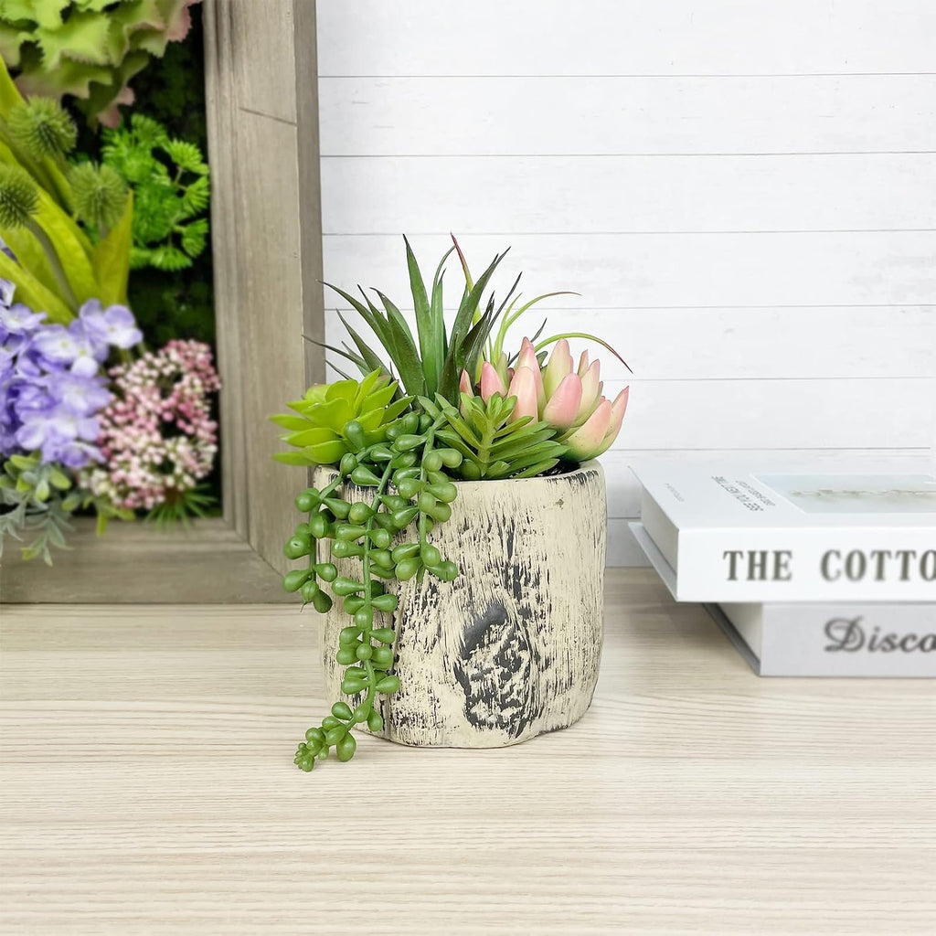 Succulents Plants Artificial, Faux Succulent Plants in Elegant Ceramic Pot Assorted Faux Potted Succulent Plant for Home Living Rooms Bedroom Décor (7.9)